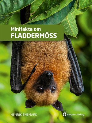 cover image of Minifakta om fladdermöss